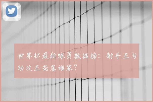 世界杯最新球员数据榜：射手王与助攻王花落谁家？